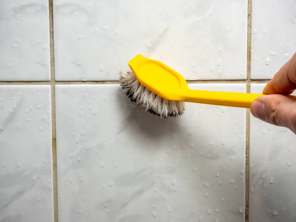 Best Mold Remediation  in Allendale, NJ