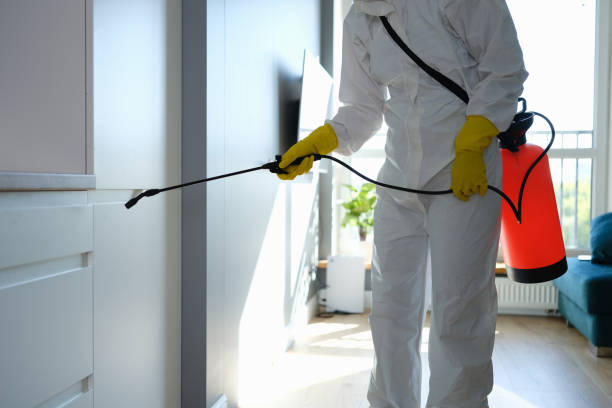 Professional Mold Removal in Allendale, NJ