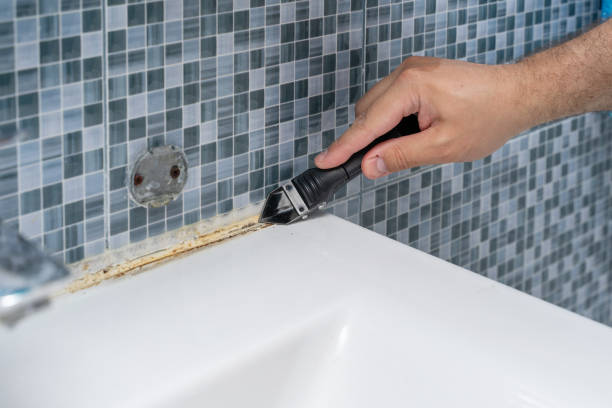 Mold Removal and Inspection in Allendale, NJ